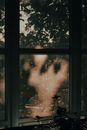 Green Tree in Front of Window