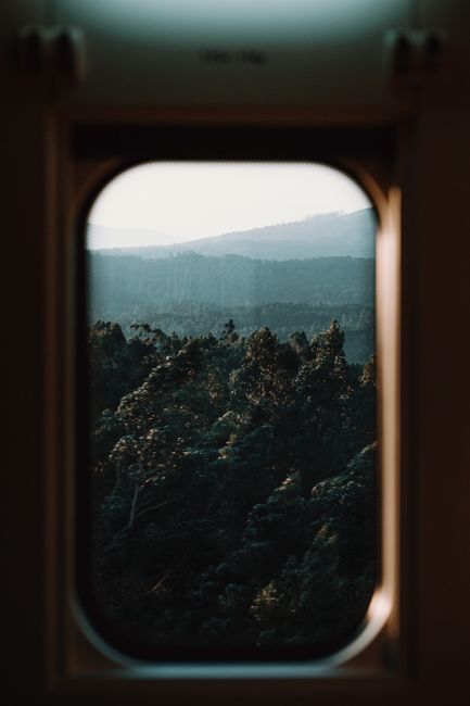 Through glass view of lush green woods in mounts under white sky in daylight