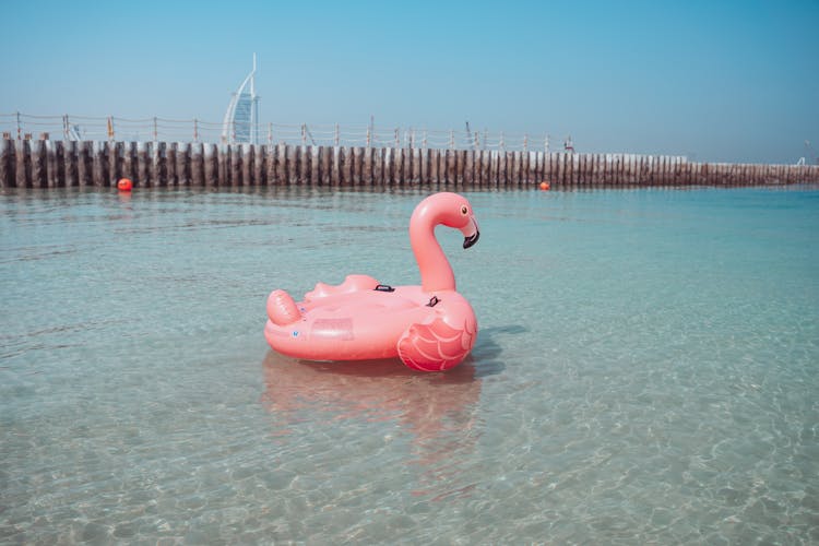 Pink Inflatable Flamingo On Water