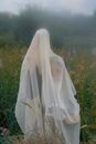 Elegant woman walking in veil in misty field