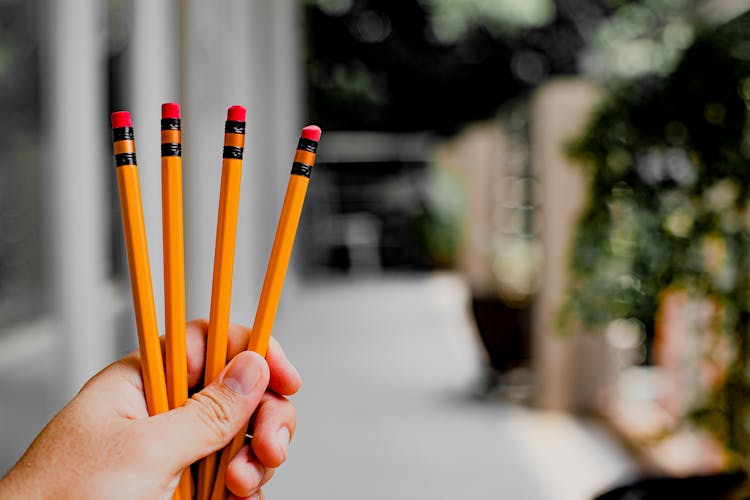 Person Holding Pencils