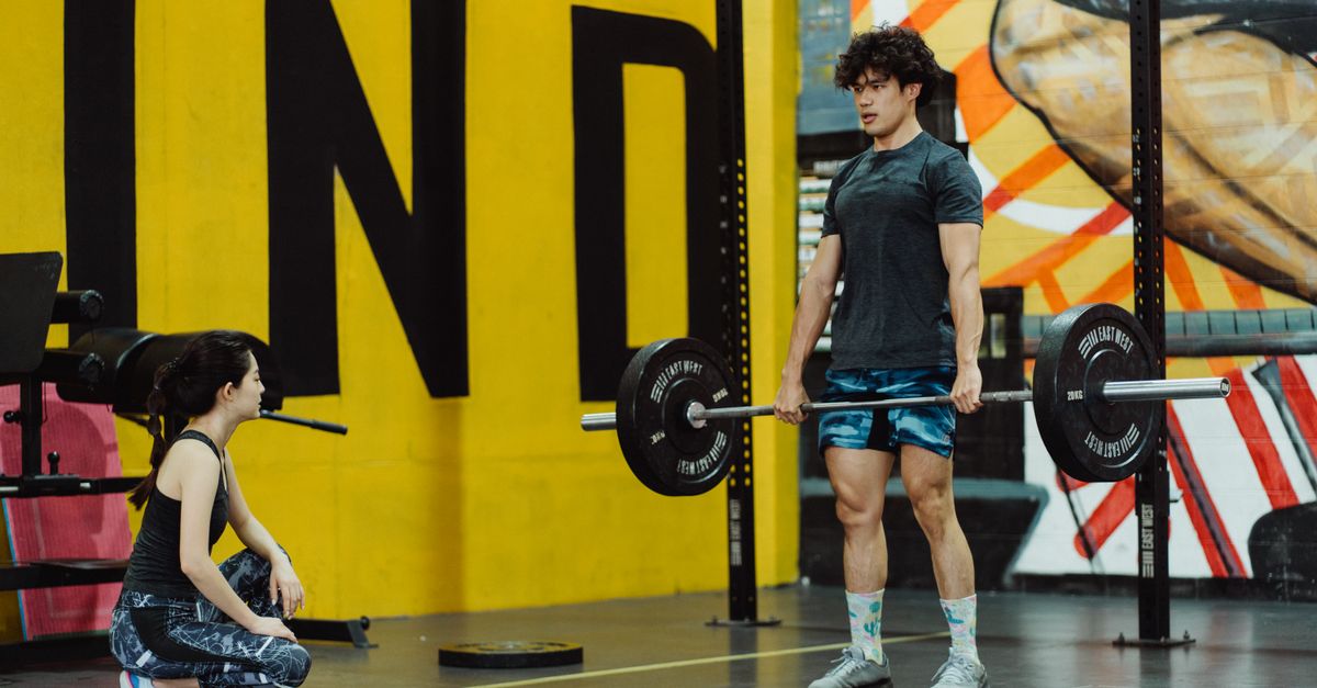 Les Meilles Exercices de Renforcement Musculaire pour Débutants