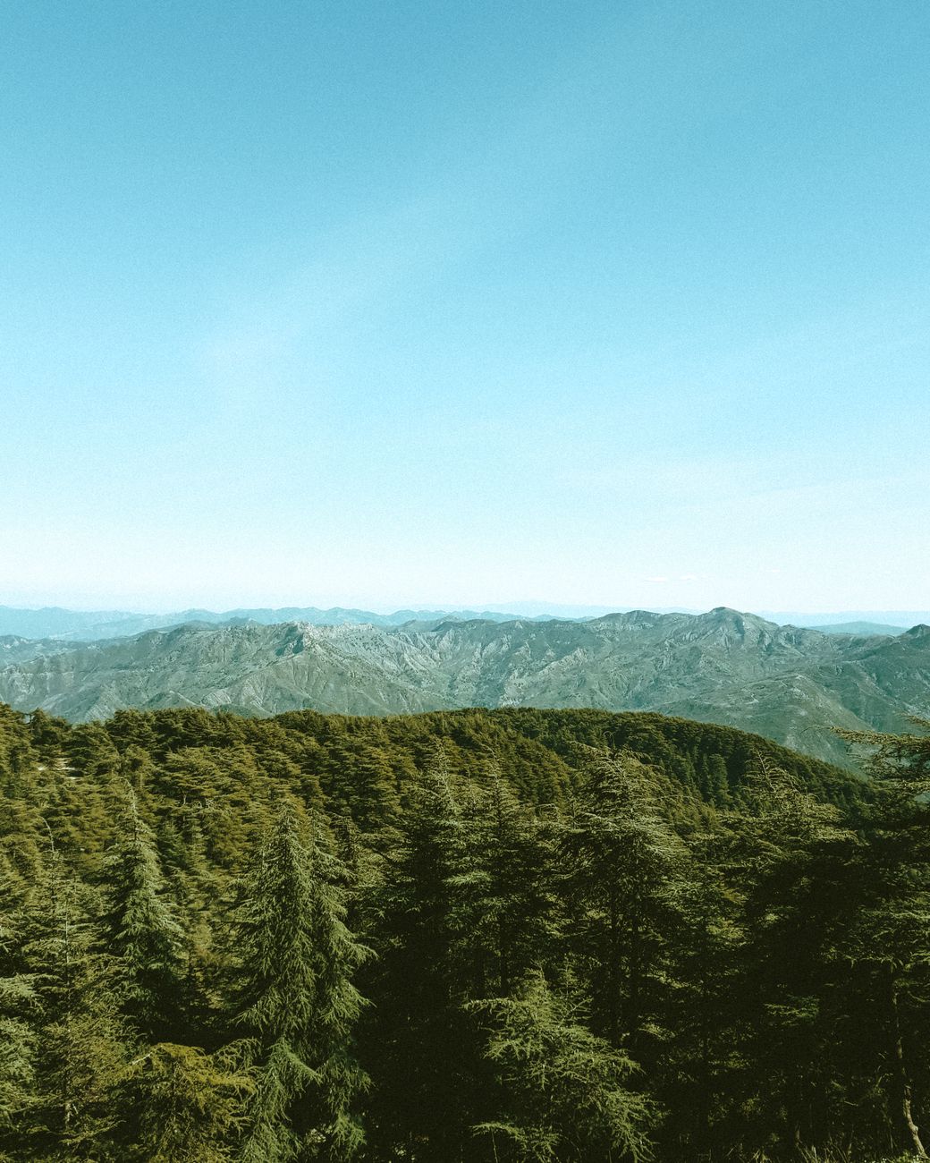 Breathtaking aerial view of lush green forest and distant mountains under clear blue sky.