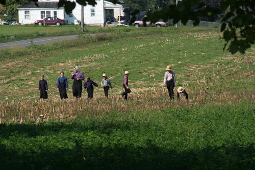 Ilmainen kuvapankkikuva tunnisteilla amish