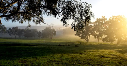 Gratis stockfoto met landschap, mistig landschap