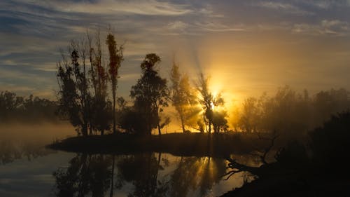 Бесплатное стоковое фото с река мюррей