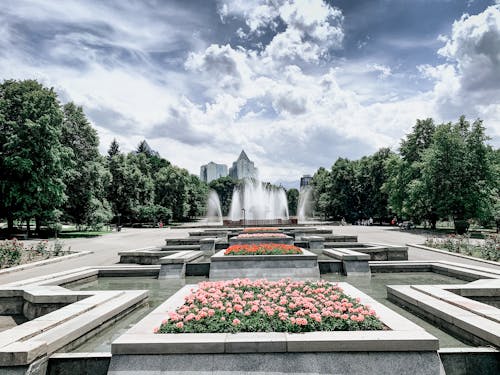 Free stock photo of beautiful sky, flovers, monument