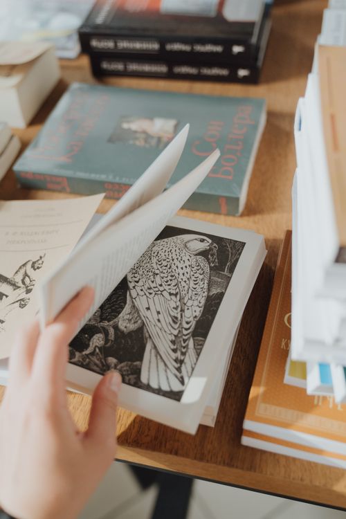 Free Hand flipping through a book with intricate bird illustrations in a cozy setting. Stock Photo