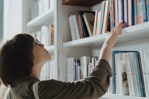 Foto d'estoc gratuïta de afició, aprenent, biblioteca