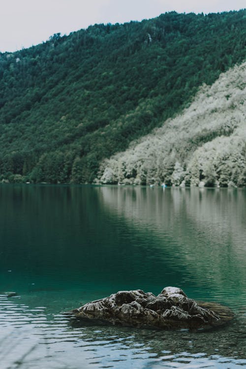 Calm surface of crystal lake with stone near bushy coast with hills covered with moss and forest