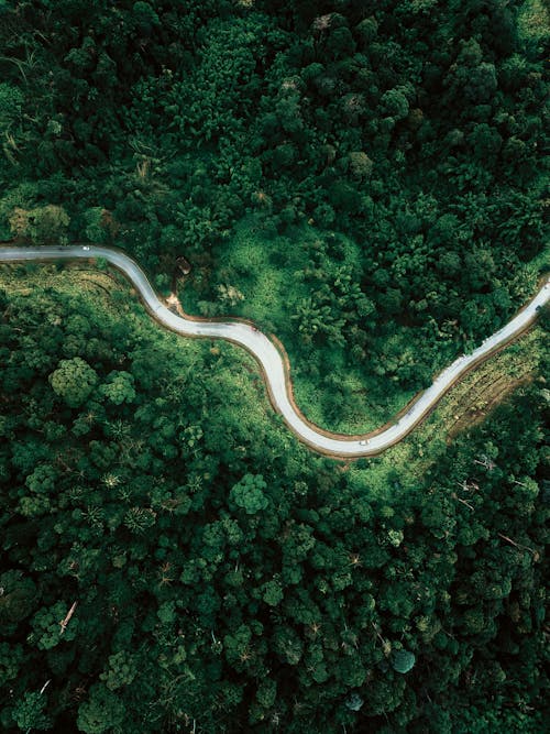 Aerial view of empty asphalt roadway running between lush abundant woodland in tropical country