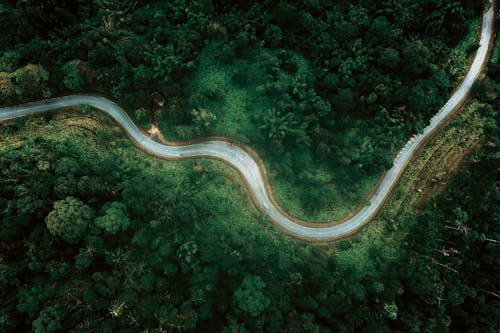 俯視圖, 公路旅行, 和平的 的 免费素材图片