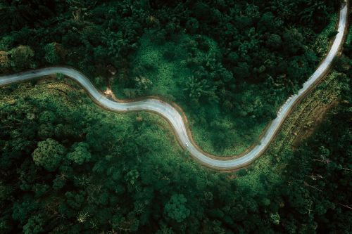 Free Aerial top view of narrow asphalt roadway going through abundant woodland trees in daylight Stock Photo