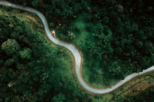 Drone top view of narrow curvy road running between abundant forest trees in nature