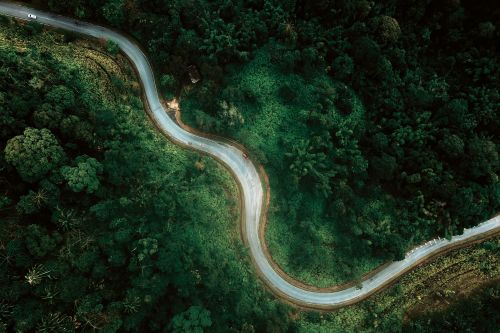 Free Drone top view of narrow curvy road running between abundant forest trees in nature Stock Photo