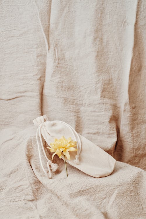 Free Photo of a Yellow Flower Beside a Pouch Stock Photo