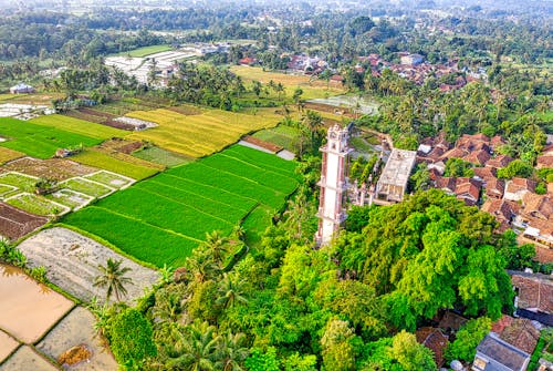 Aerial View of Rice Terraces Beside Town 