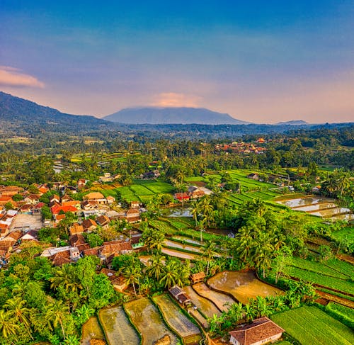 Free  Aerial View of Rice Terraces Beside Town Stock Photo