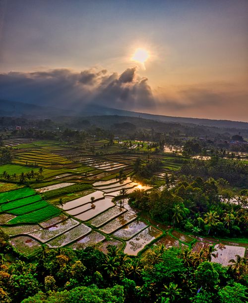 Free Stunning aerial photograph of rice terraces in Banten, Indonesia, with sunset sunlight breaking through clouds. Stock Photo