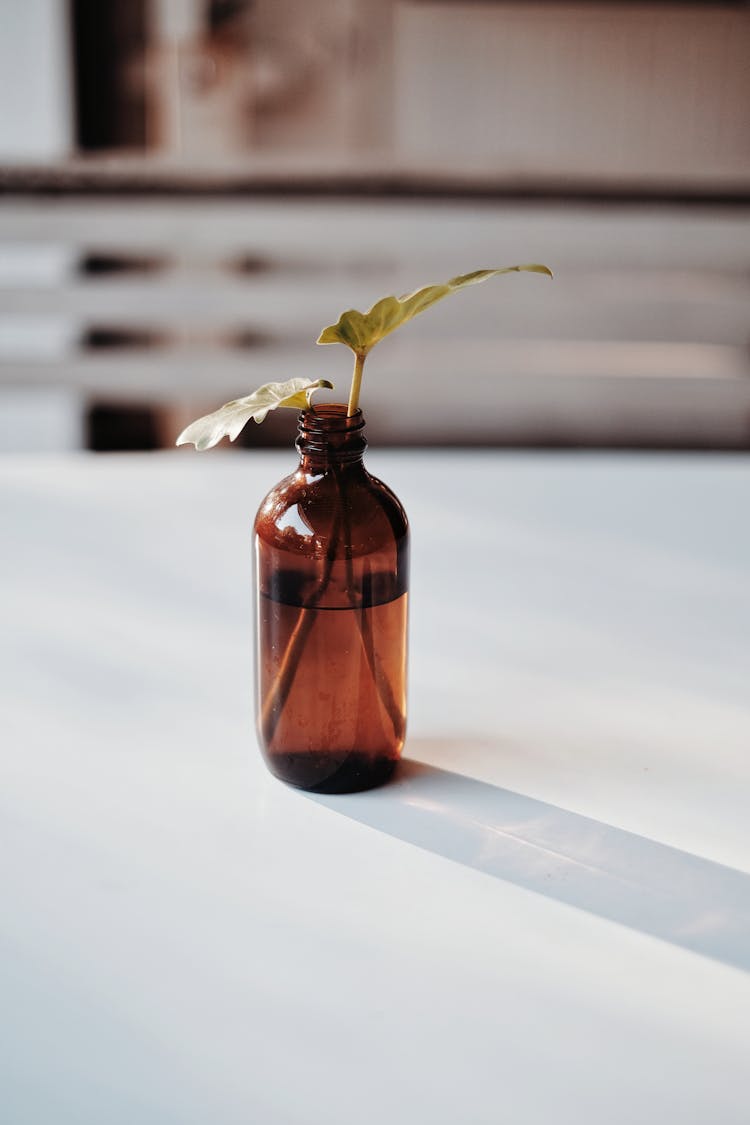Leaves On Amber Glass Bottle