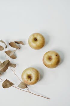 A serene still life featuring apples and a eucalyptus branch on a white surface.