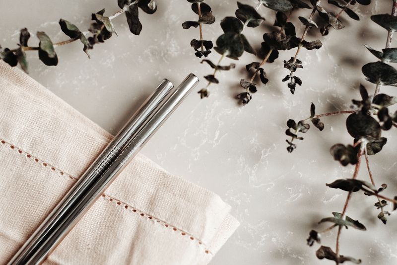 Eco-friendly metal straws on a napkin surrounded by eucalyptus twigs. Perfect for sustainable living themes.