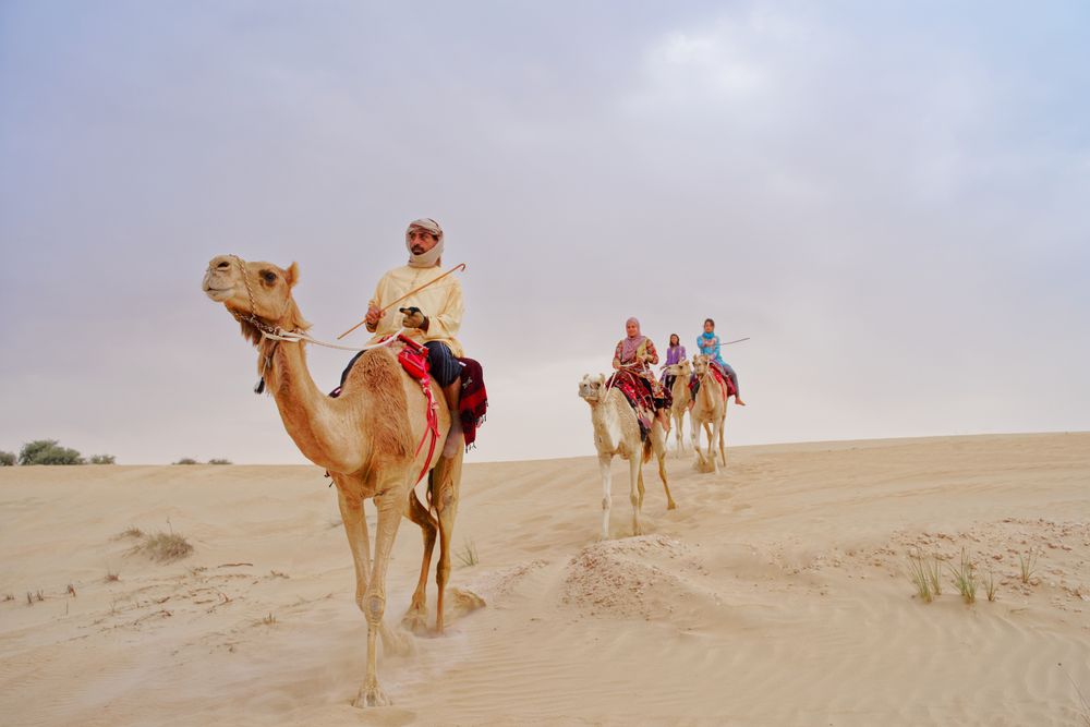 Dubai camel ride experience