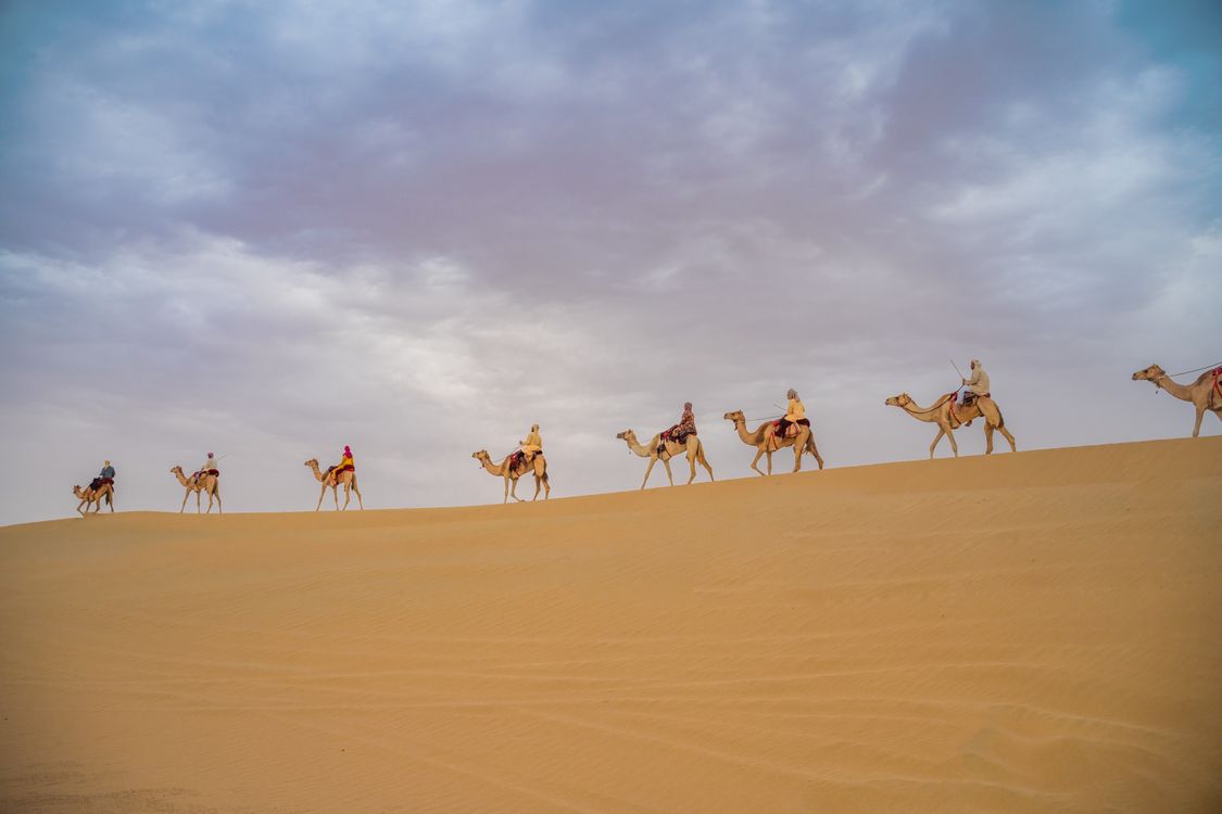 Free A scenic camel caravan traverses the vast Dubai desert under a cloudy sky. Perfect for travel and nature imagery.