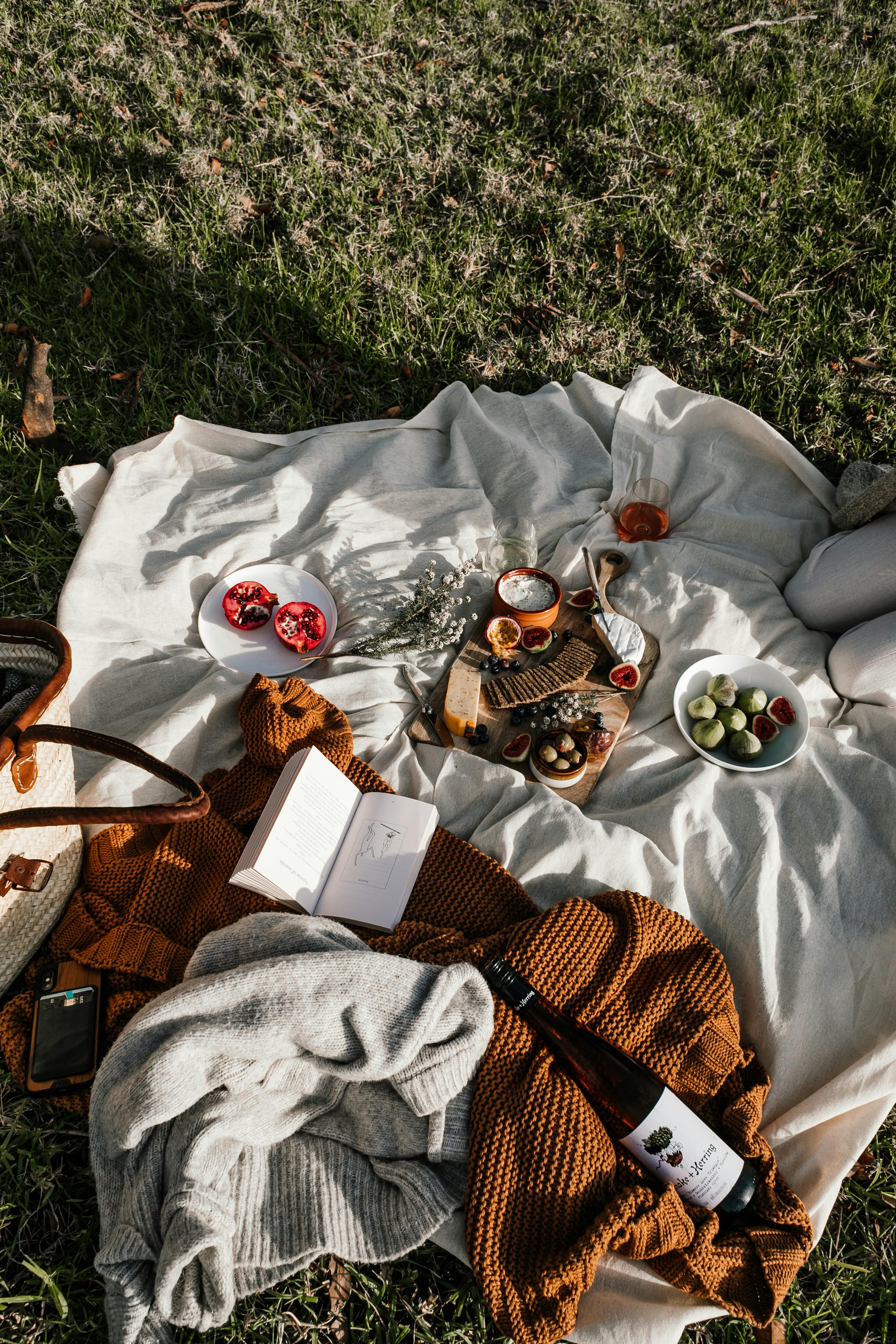 picnic set on white blanket