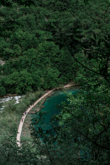 From above picturesque scenery of peaceful lagoon with tranquil green water surrounded by verdant thick woodland in daylight