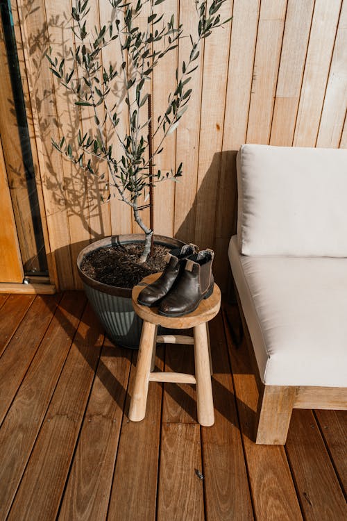 High angle of pair of leather boots placed on wooden stool near sofa and potted plant at home