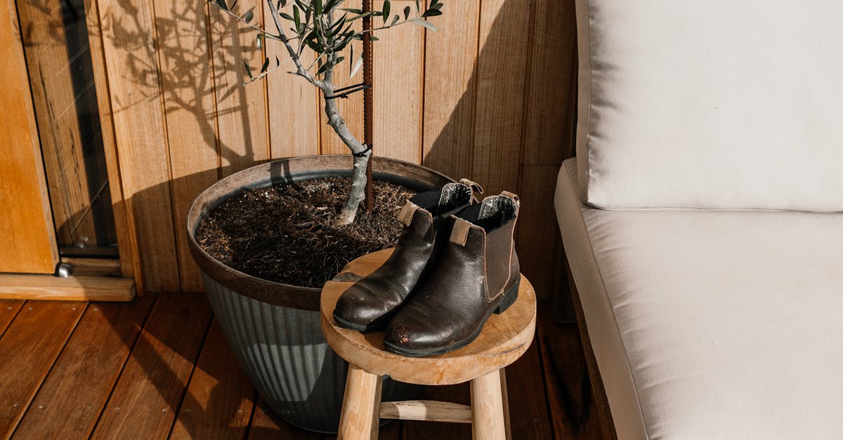 How to dye leather shoes at home