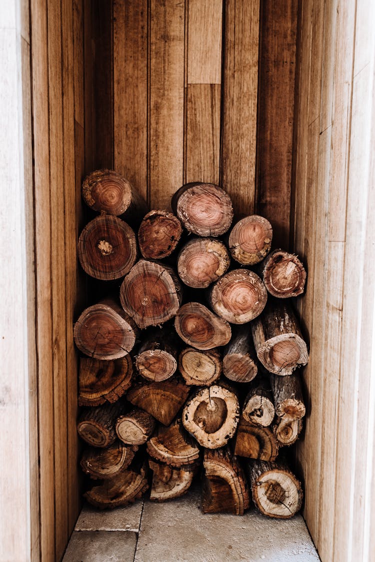 Photograph Of A Woodpile