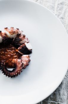 Top view closeup of delectable octopus tentacle fillet placed on white ceramic plate and served on table in restaurant