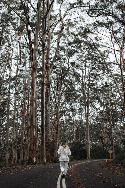 Full length back view of anonymous female in casual clothes walking along empty narrow road between tall trees