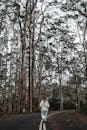 一位身着休闲装的匿名女性，沿着高大树木间空荡荡的狭窄道路行走的全身背影