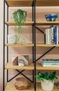 Modern shelves with books collection and various decorative elements