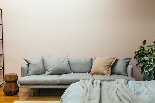 Free Cozy sofa and bed in contemporary studio apartment Stock Photo