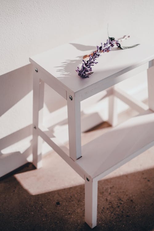 A Branch with Purple Flowers Lying on a White Stool in Sunlight