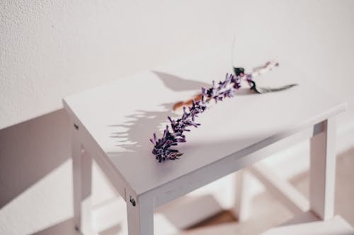 Ücretsiz beyaz masa, dal, ev dekorasyonu içeren Ücretsiz stok fotoğraf Stok Fotoğraflar