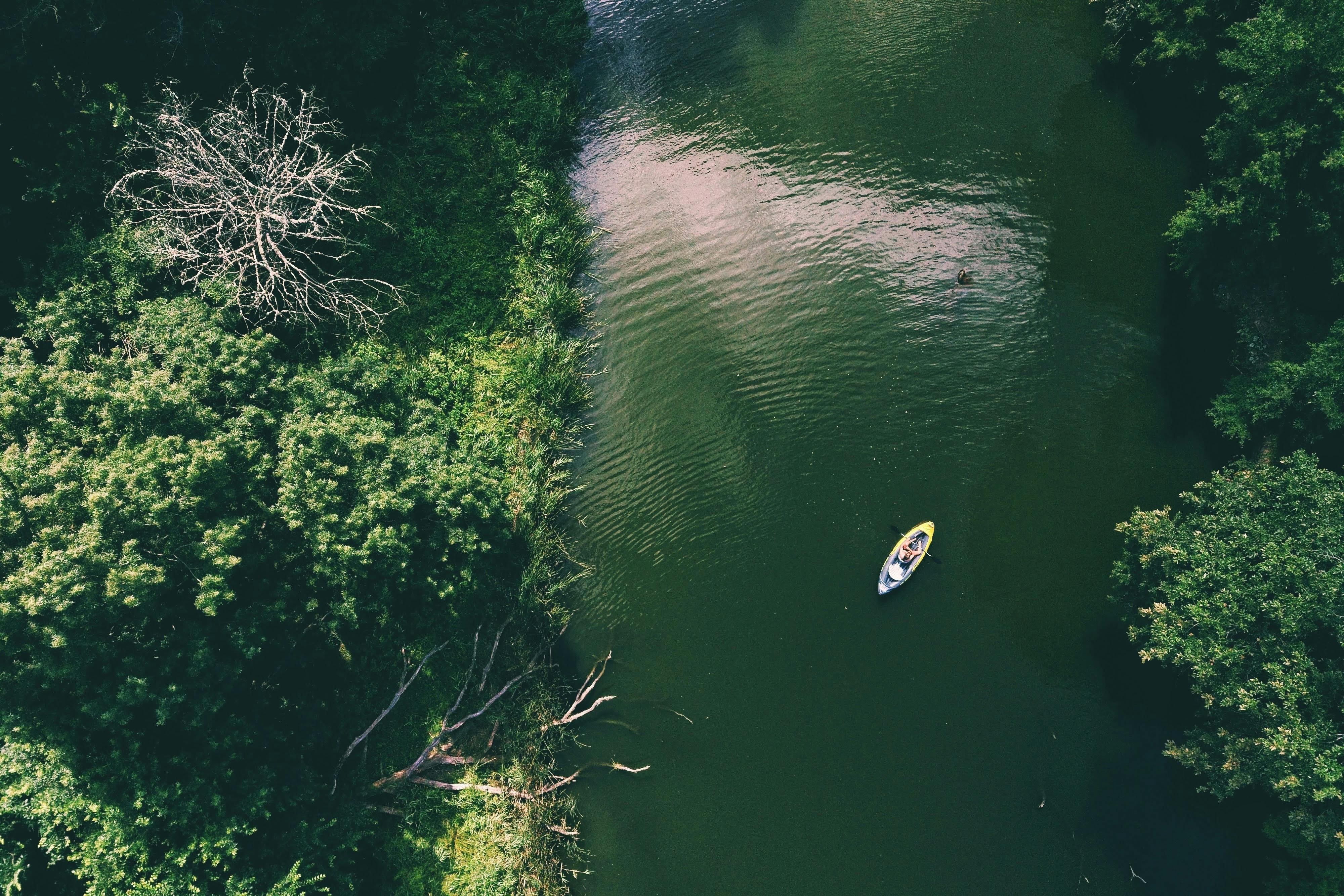 Aerial view of person kayaking on a river
