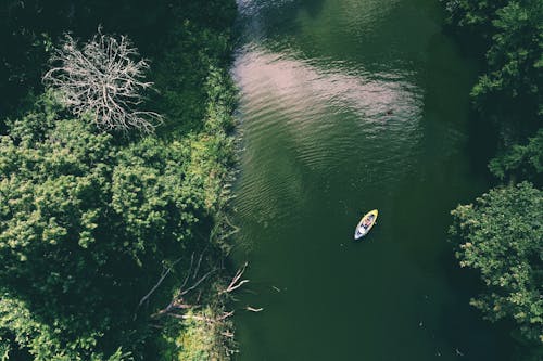 Drone Shot of a Person Kayaking on a River