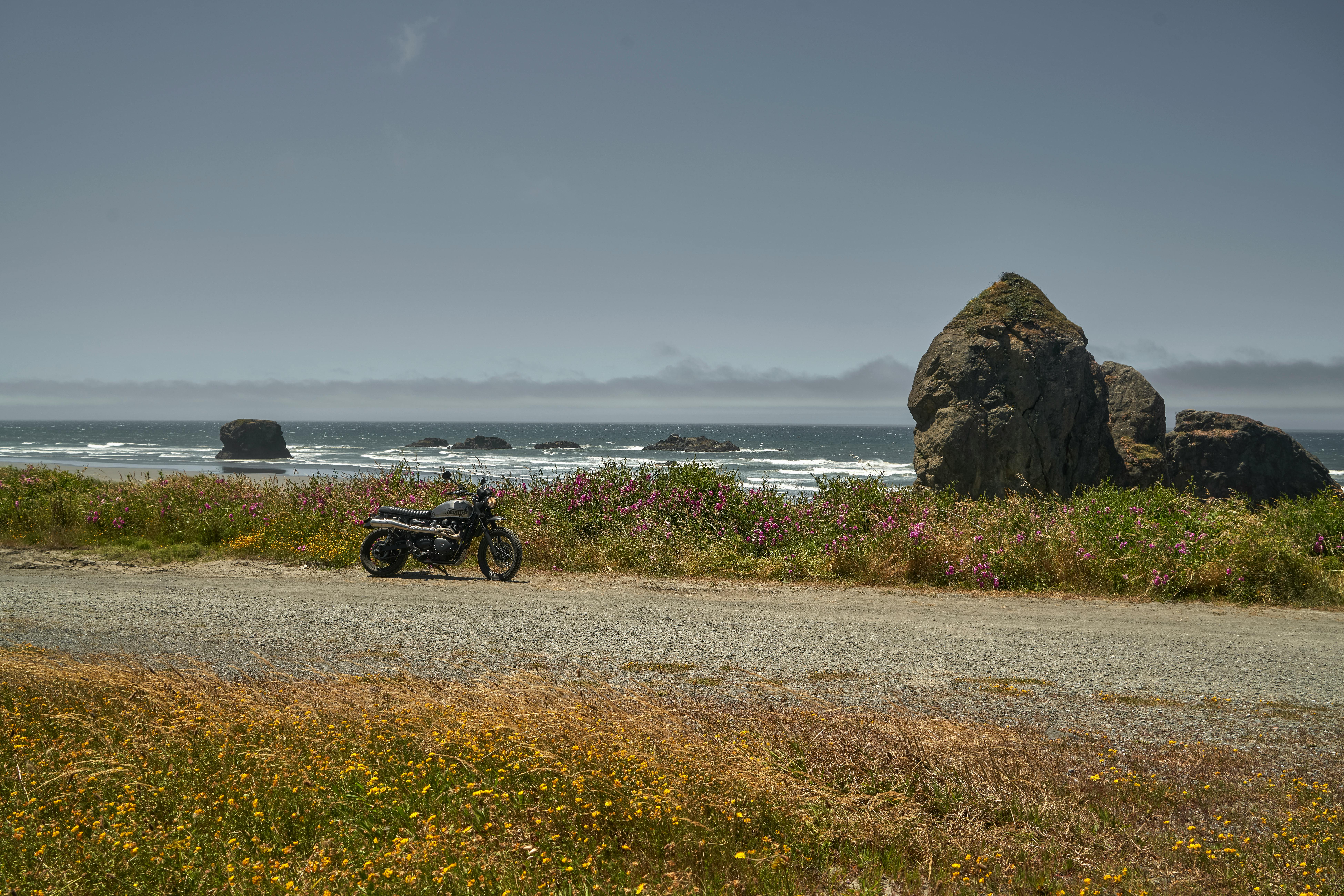 Motorcycle parked by a coastal road with ocean views, rocks, and wildflowers.