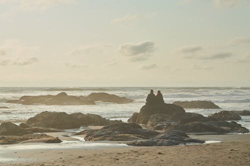 Foto d'estoc gratuïta de a la vora de l'oceà, alba, costa rocallosa