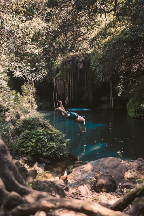 Безкоштовне стокове фото на тему «авантюрист, Дайвінг, красива природа»