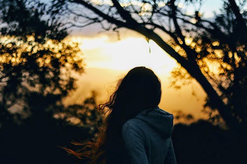 Woman in Gray Hoodie Standing Near Tree during Sunset