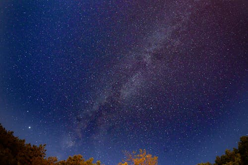 무료 밤, 별, 은하수의 무료 스톡 사진