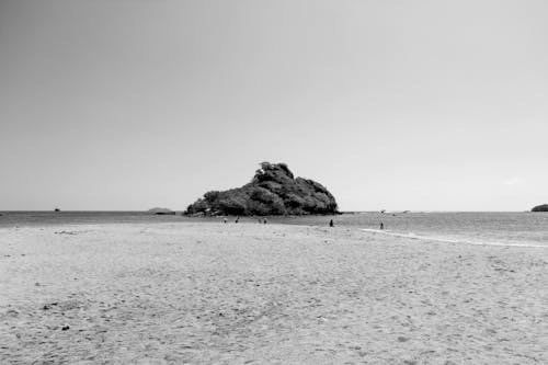 Grayscale Photograph of an Island Near the Sand