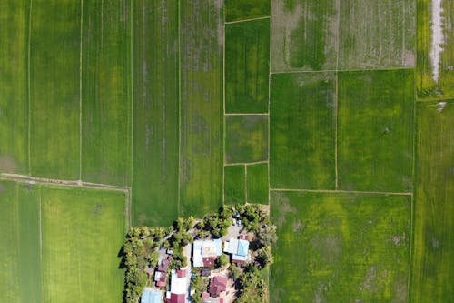 Picturesque aerial view of typical houses in small settlement located on green agricultural field on sunny day