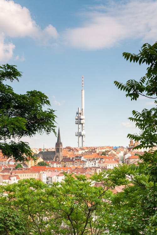 Old city behind green trees in daylight